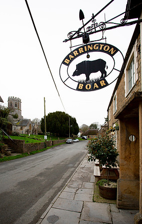 Barrington Boar (3)