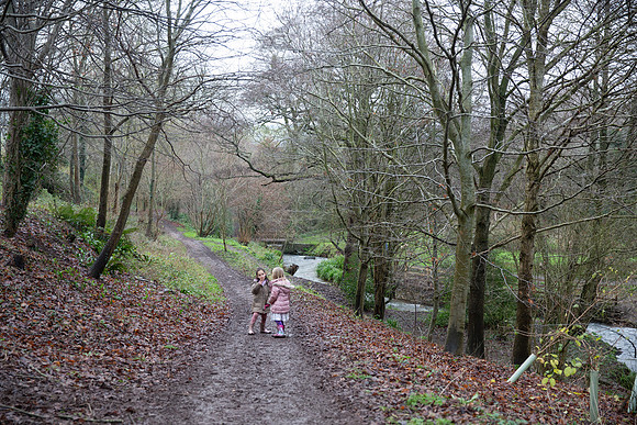 IMG_0378
