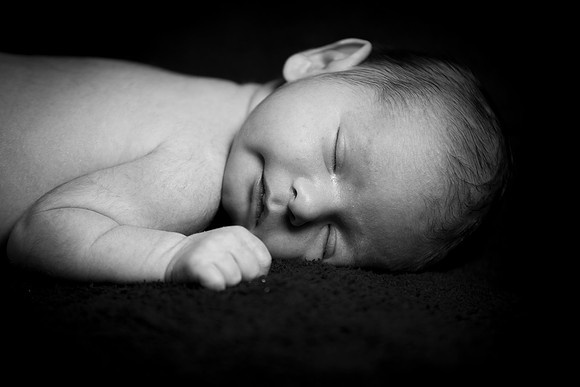 Newborn baby family portrait